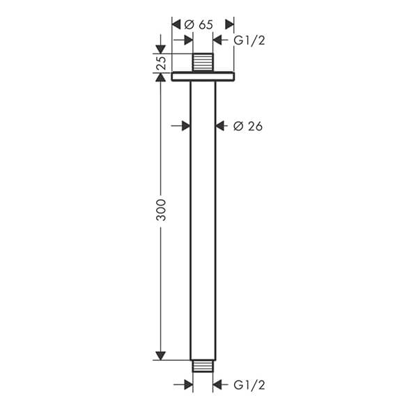 Потолочное подсоединение 30 см Hansgrohe 27805670