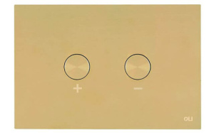 Кнопка смыва антивандальная Blink OLI 878781