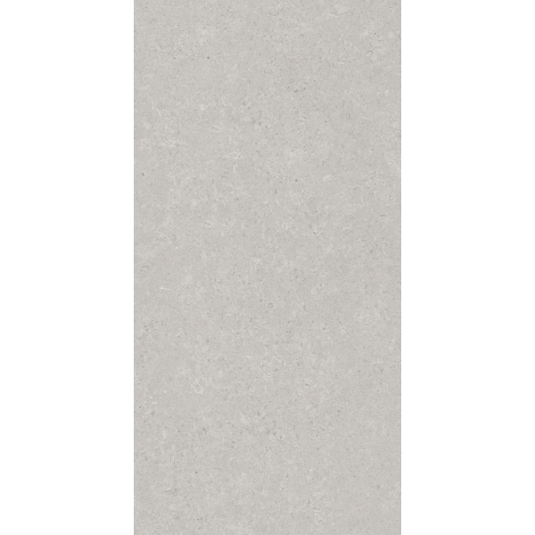 Керамогранит AVS by Italian Design Velluto Grey 60x120 Moon Light Stone
