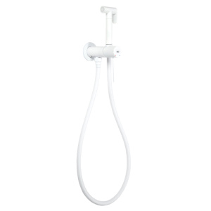 Гигиенический душ со смесителем AVS Slimmer белый матовый