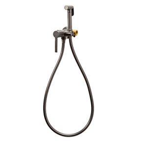 Гигиенический душ со смесителем AVS Elegant оружейная сталь